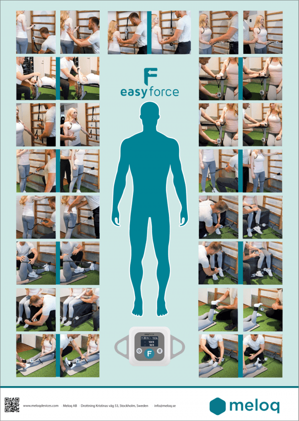 EF-Measurement-PT-Thumbnail