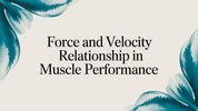 Force and Velocity Relationship in Muscle Performance
