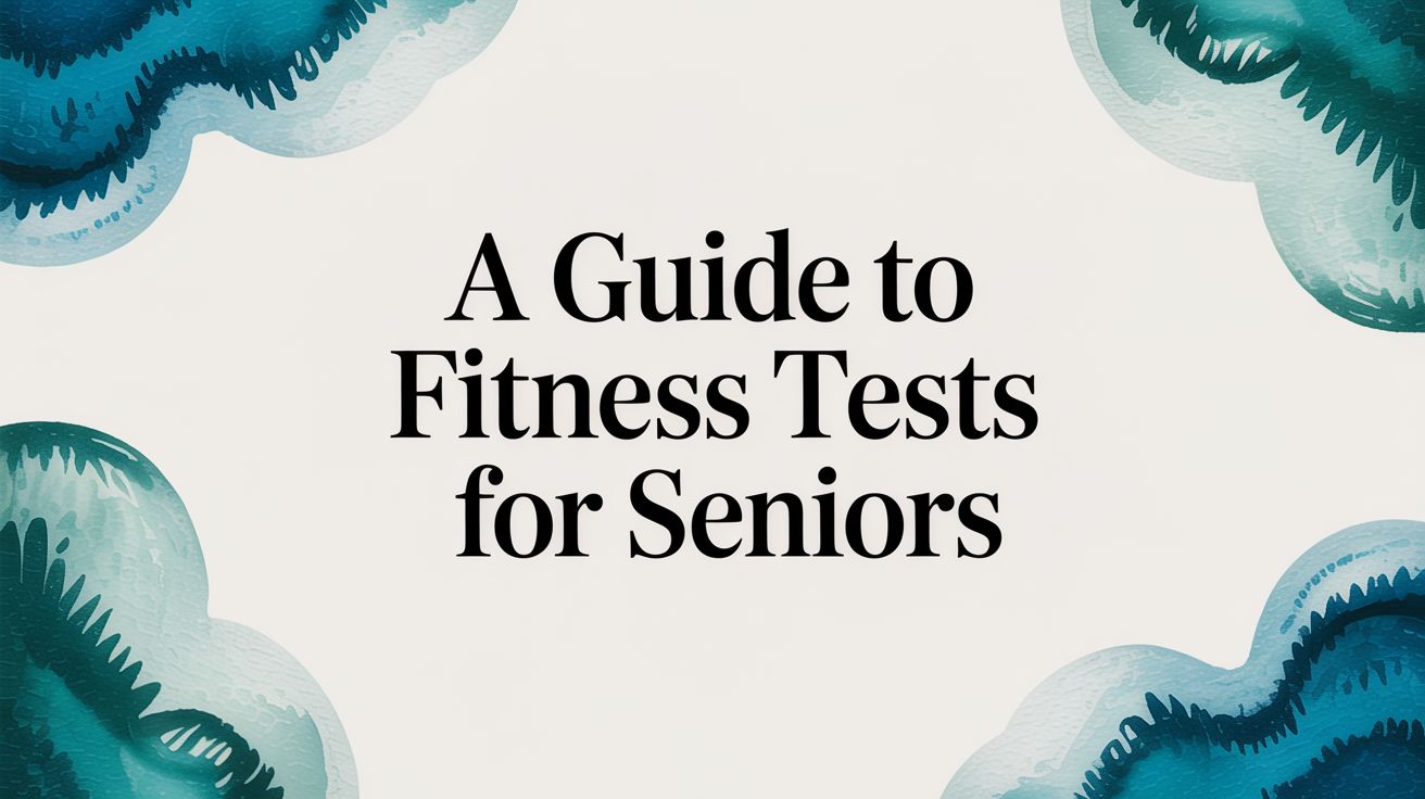 A Guide to Fitness Tests for Seniors